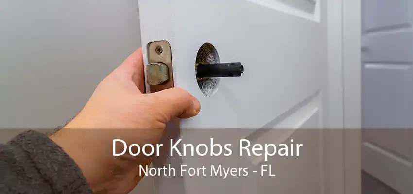 Door Knobs Repair North Fort Myers - FL